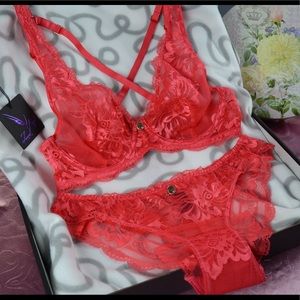 NWT Embroidered Lace Bra & Panties Set